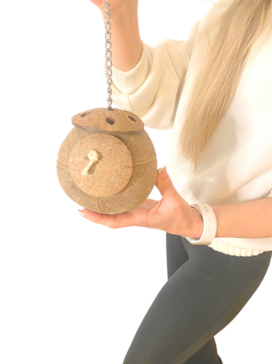 CoCo Loco | Kokosowa, naturalna zabawka dla Papug od ParrotPlanet.pl