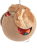 CoCo Loco | Kokosowa, naturalna zabawka dla Papug od ParrotPlanet.pl