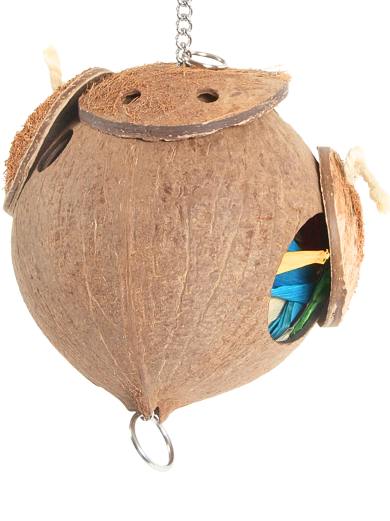 CoCo Loco | Kokosowa, naturalna zabawka dla Papug od ParrotPlanet.pl