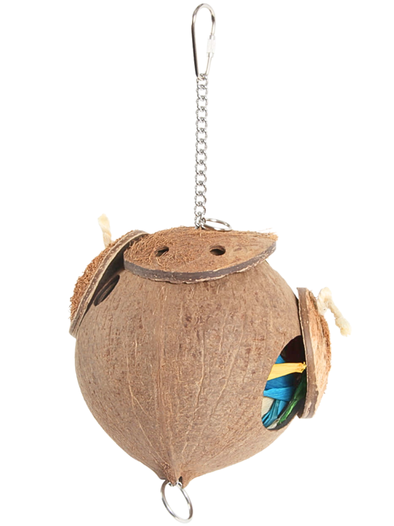 CoCo Loco | Kokosowa, naturalna zabawka dla Papug od ParrotPlanet.pl