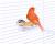 Distributeur Alimentaire Portabiscotto – Parrot Planet.fr