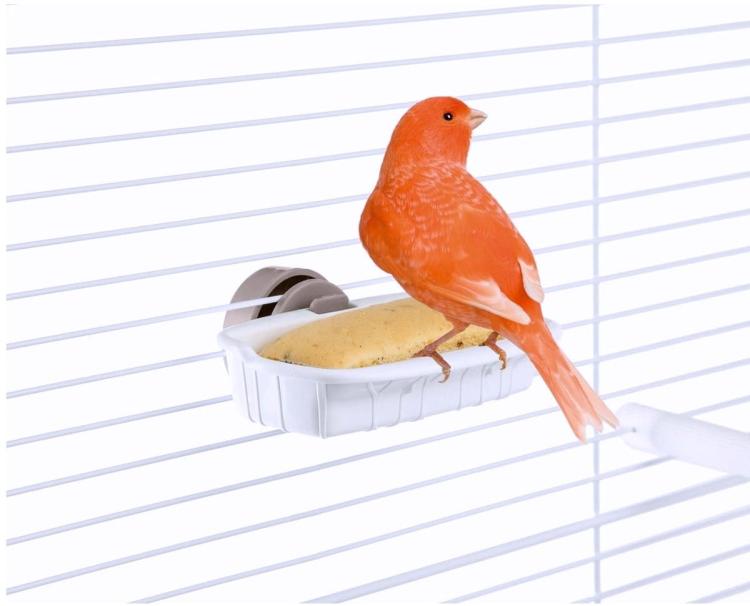 Distributeur Alimentaire Portabiscotto – Parrot Planet.fr