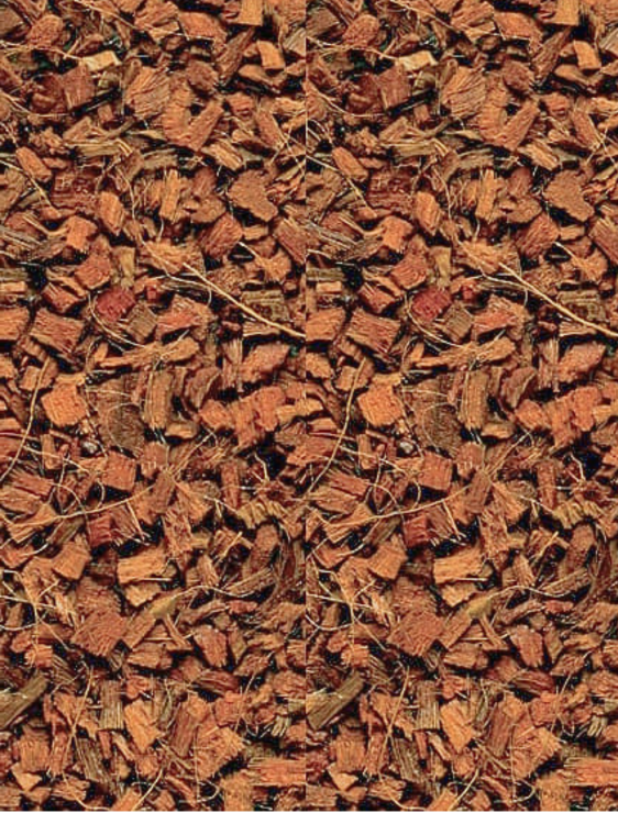 Brique de Coque de Coco Bioterr BioCoco 4,5kg - Substrat Naturel pour Perroquets de ParrotPlanet.fr