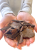 Sous-couche Naturelle pour Perroquets Moyens, Taille M - 10 Litres de ParrotPlanet.fr