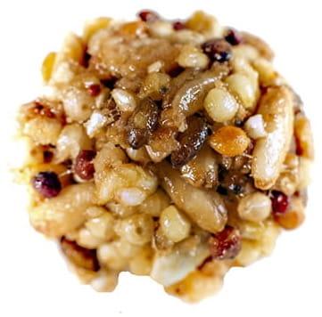 Lafeber NutriBerries Original Classic - Pokarm w kształcie kuleczek dla średnich i dużych papug 6,4 kg od ParrotPlanet