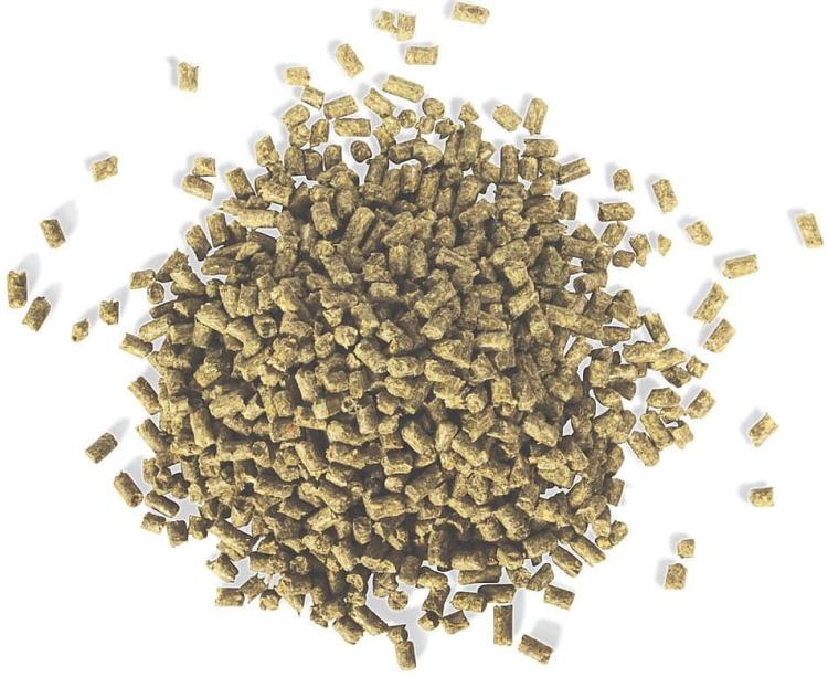 TOP’s Parrot Food MINI – granulés BIO pour petits perroquets, 453 g ParrotPlanet.fr