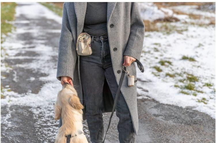 Porte-sac à déjections canines - Jasnoszary, accessoire pratique et stylé de ParrotPlanet.fr