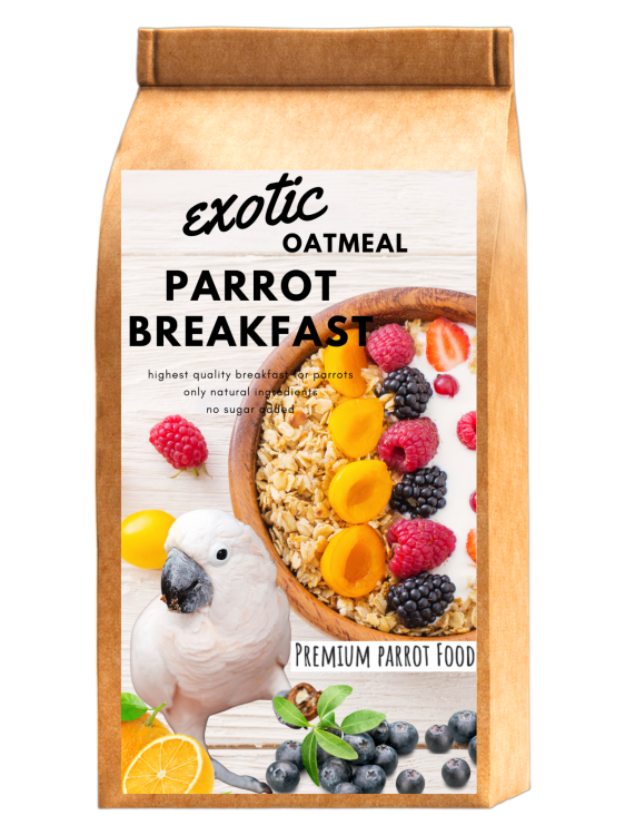 HOT EXOTIC OAT Parrot Breakfast - Papuzia Owsianka - danie śniadaniowe, lub obiadowe na ciepło dla wszystkich papug 100g od ParrotPlanet.pl