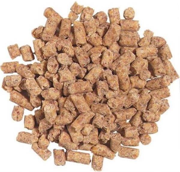 RoudyBush Maintenance Medium 1,25kg - Granulat dla dużych papug od ParrotPlanet.pl