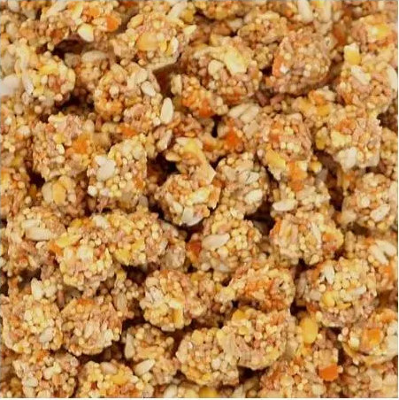 Lafeber NutriBerries Tropical Cockatiel - Pokarm: ziarno z owocami tropikalnymi w kształcie kuleczek dla średnich i małych papug 28g PRÓBKA od ParrotPlanet.pl