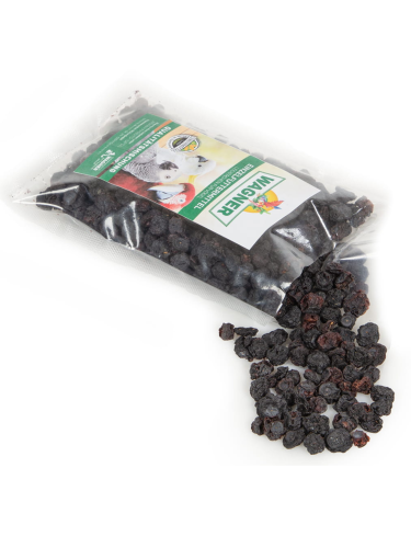 Wagner's Chrupiące owoce Jagody dla papug 150g od ParrotPlanet.pl