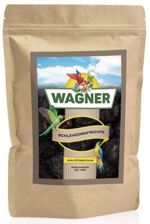 Wagner's Chrupiące owoce tarniny 150g od ParrotPlanet.pl