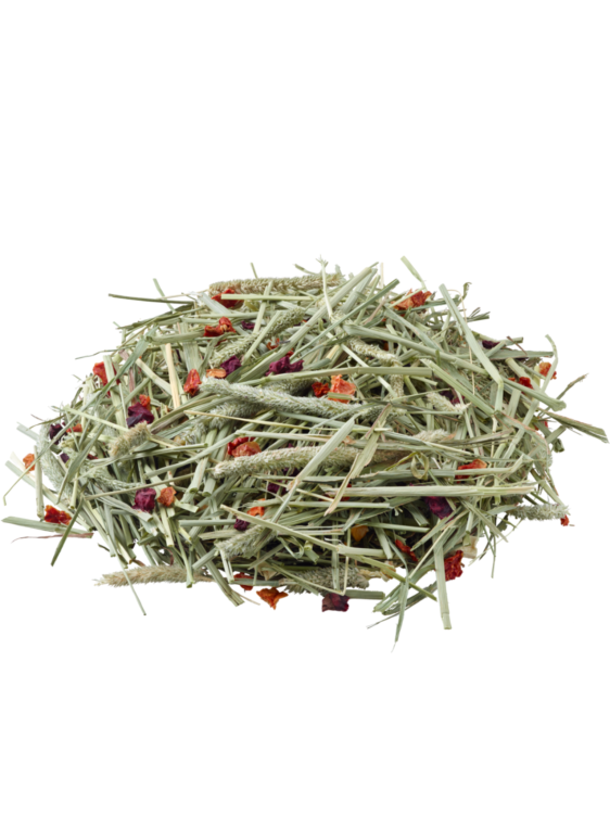 Versele Laga – Timothy Hay Beetroot & Tomato – Tymotka Łąkowa z Burakiem i Pomidorem dla Królików i Gryzoni, 500 g od ParrotPlanet.pl