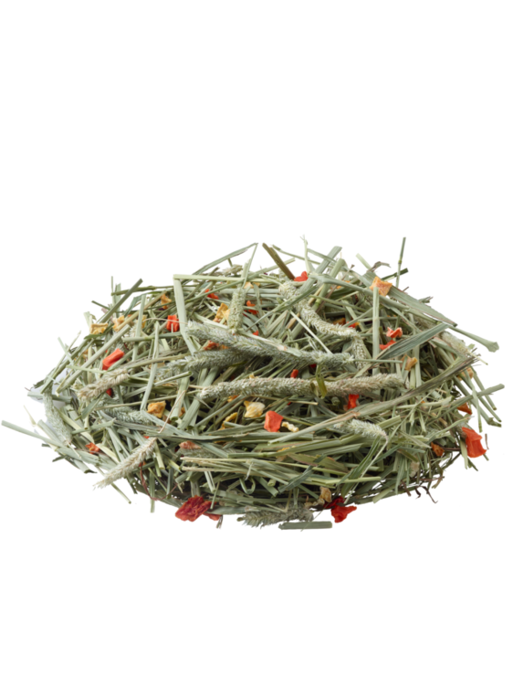 Versele Laga – Timothy Hay Carrot & Pumpkin – Tymotka Łąkowa z Marchewką i Dynią dla Królików i Gryzoni, 500 g od ParrotPlanet.pl