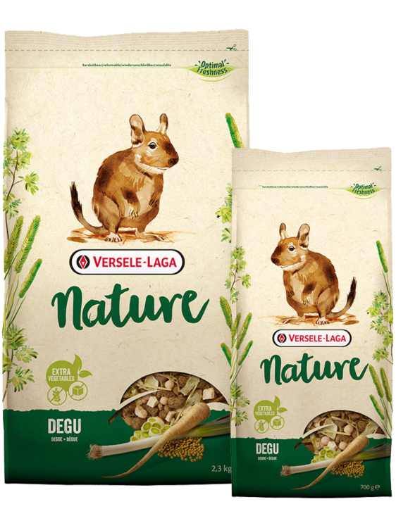 Versele Laga – Degu – Zróżnicowana, Wysokobłonnikowa Mieszanka dla Koszatniczek, 700 g od ParrotPlanet.pl
