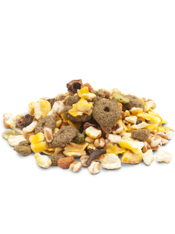 Snack Popcorn – Przysmak dla Królików i Kawii Domowych, 650 g od ParrotPlanet.pl