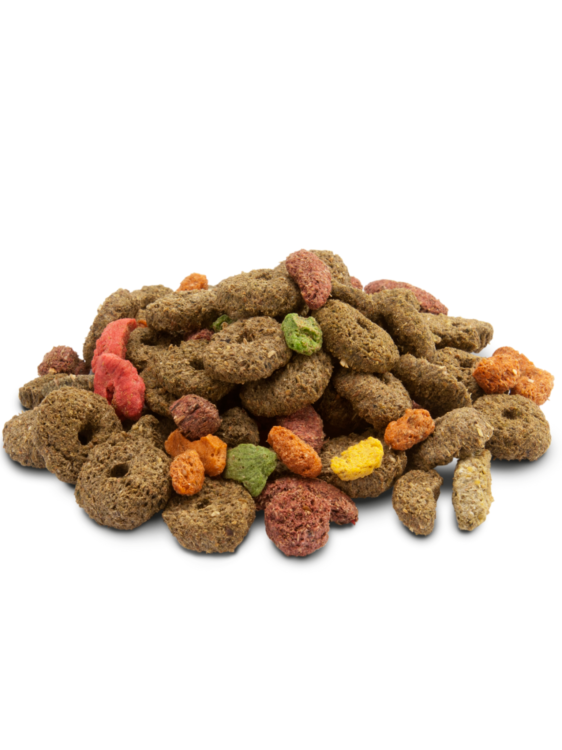 Versele Laga – Snack Fibres – Przysmak Wzbogacony w Błonnik dla Królików i Gryzoni 650 g od ParrotPlanet.pl