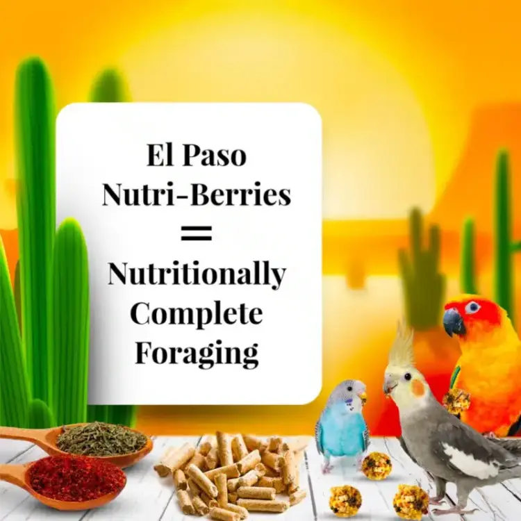 Lafeber Nutri-Berries El Paso Cockatiel - Pokarm w kształcie kuleczek dla małych i średnich papug 284g od ParrotPlanet.pl