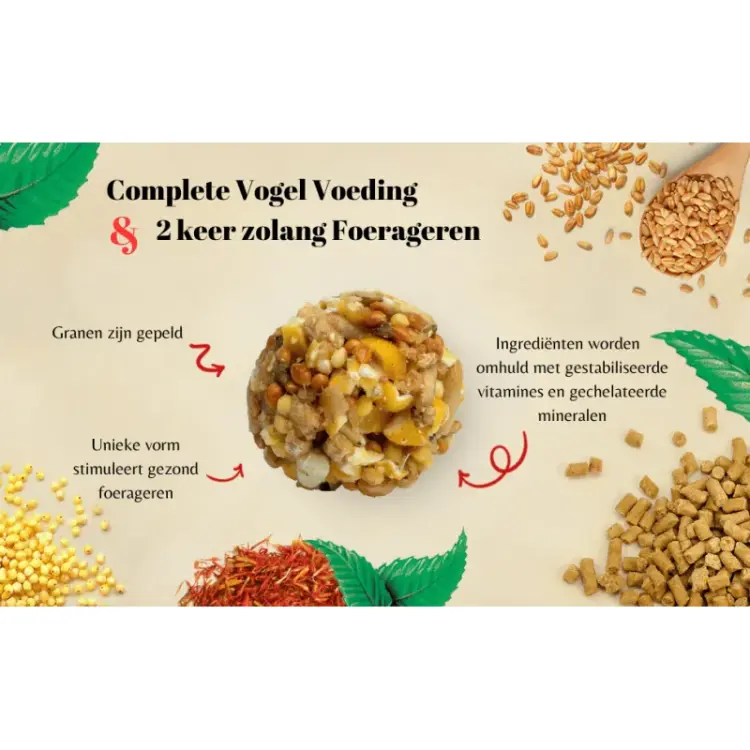 Lafeber Nutri-Berries El Paso Cockatiel - Pokarm w kształcie kuleczek dla małych i średnich papug 284g od ParrotPlanet.pl
