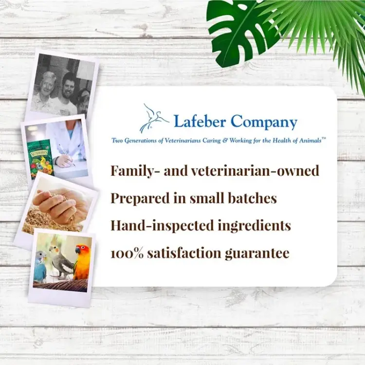 Lafeber Nutri-Berries El Paso Cockatiel - Pokarm w kształcie kuleczek dla małych i średnich papug 284g od ParrotPlanet.pl