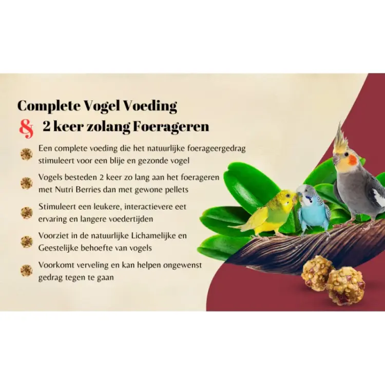 Lafeber Nutri-Berries El Paso Cockatiel - Pokarm w kształcie kuleczek dla małych i średnich papug 284g od ParrotPlanet.pl