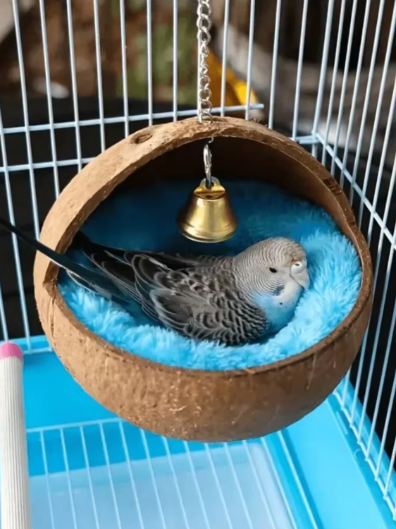 Koksowa Przytulna Kołyska- Hamak Naturalny -Niebieska Jaskinia dla nimf i innych papug od ParrotPlanet.pl