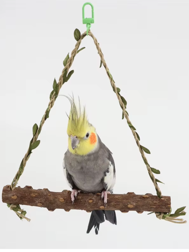 Jungle Play - Huśtawka dla średnich papug od ParrotPlanet.pl