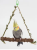 Jungle Play - Huśtawka dla średnich papug od ParrotPlanet.pl