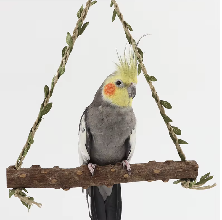 Jungle Play - Huśtawka dla średnich papug od ParrotPlanet.pl