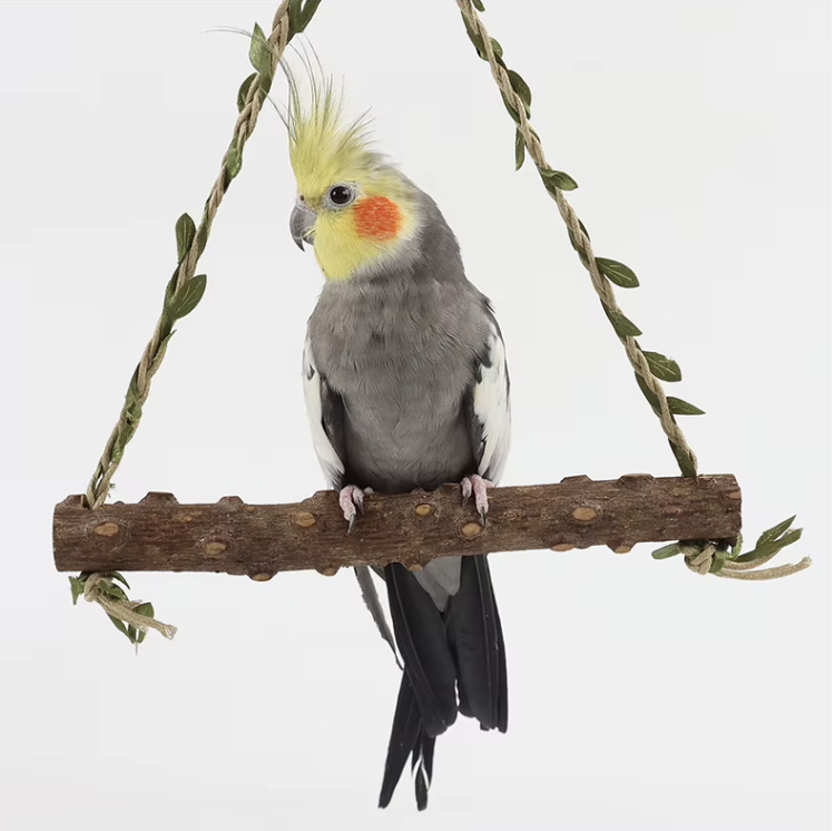 Jungle Play - Huśtawka dla średnich papug od ParrotPlanet.pl