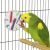 ChatGPT Image 12 kwi 2025, 20_18_17.png