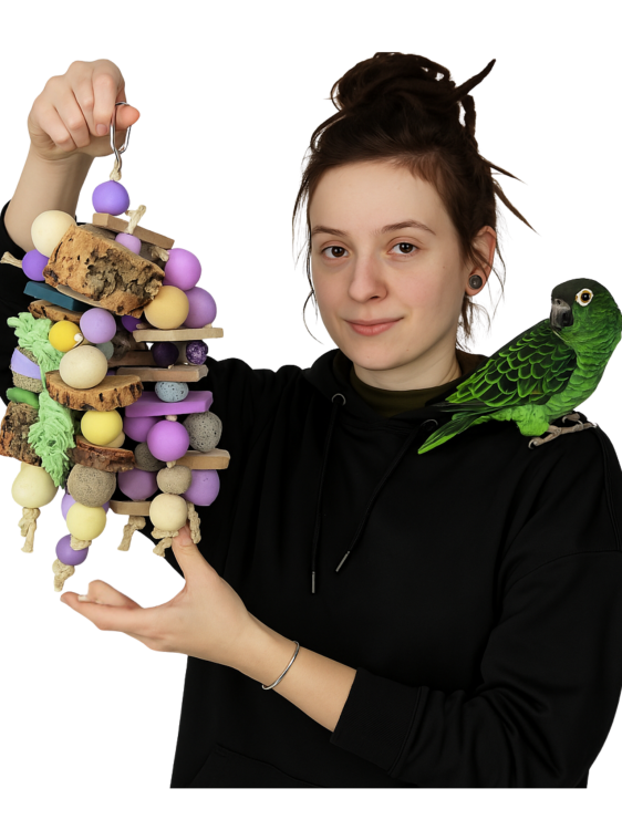 Jajeczny Koszyk  - Zabawka dla średnich i dużych papug od ParrotPlanet.pl