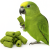 Chips de Topinambour et Persil pour Perroquets - Snack Sain 60g de ParrotPlanet.fr