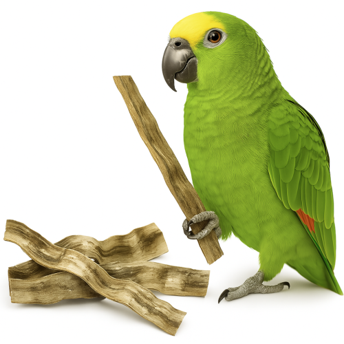 Gruba Liana Brazylijska - dla wszystkich PaPug 50 cm od ParrotPlanet.pl