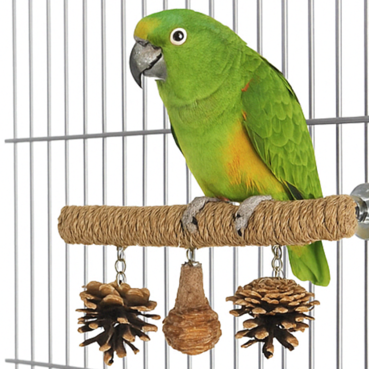 Żerdź Natura z Zabawkami | Odpoczynek i Rozrywka dla dużych papug od ParrotPlanet.pl