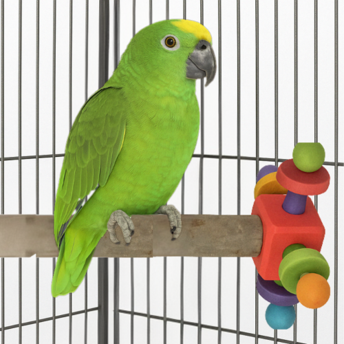 Perchoir en Bois avec Bloc Rotatif pour Perroquets - Activité et Bien-être  de ParrotPlanet.fr