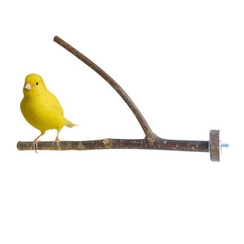 Żerdź żywa natura- dla najmniejszych ptaków od ParrotPlanet.pl