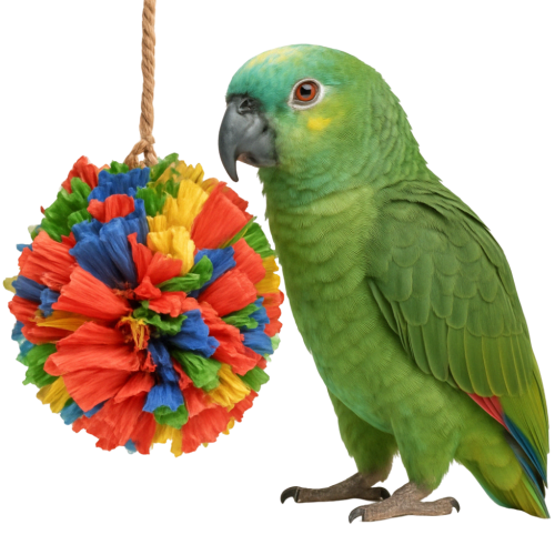 Kolorowy Pompon z Kukurydzy – ulubiona zabawka każdej papugi  od ParrotPlanet.pl