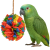 Kolorowy Pompon z Kukurydzy – ulubiona zabawka każdej papugi  od ParrotPlanet.pl