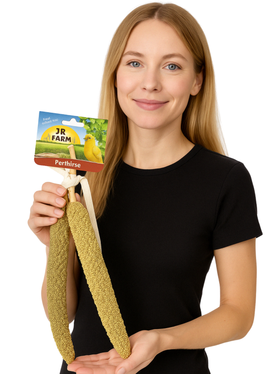 JR FARM Proso Perłowe w kłosach do chrupania dla wszystkich papug 40g  od ParrotPlanet.pl