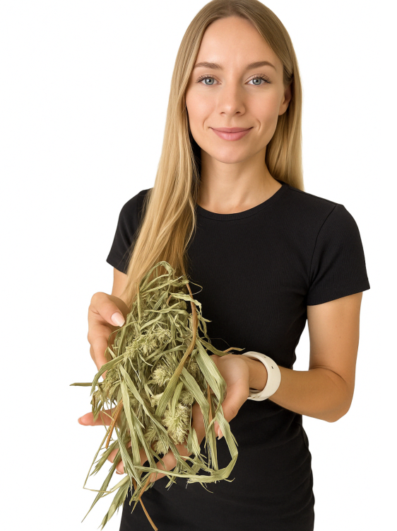 JR FARM Canary Seeds w kłosach do chrupania dla wszystkich papug 20g  od ParrotPlanet.pl
