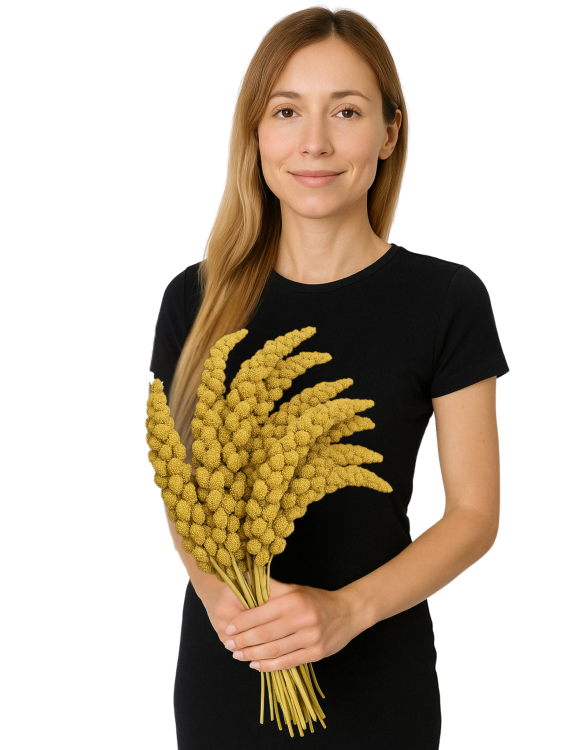JR FARM Spray Millet Yellow- proso żółte w kłosach 500g od ParrotPlanet.pl