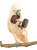 Mini hantle Naturalne - zabawka do łapki dla papug od ParrotPlanet.pl