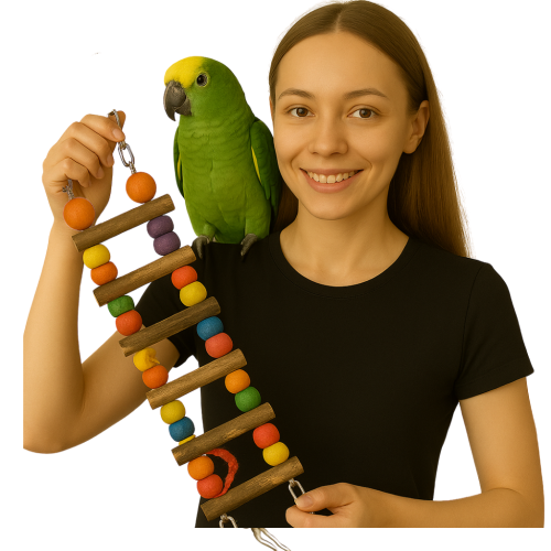 Kolorowa Drabinka | Zabawka Drewniana, Naturalna dla Papug od ParrotPlanet.pl