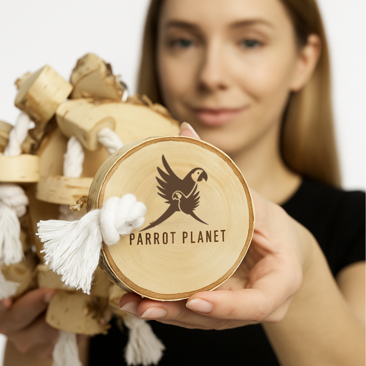 Parrot Planet Naturalnie - Brzozowy Plaster - Zabawka dla dużych PaPug XXL- 4kg od ParrotPlanet.pl