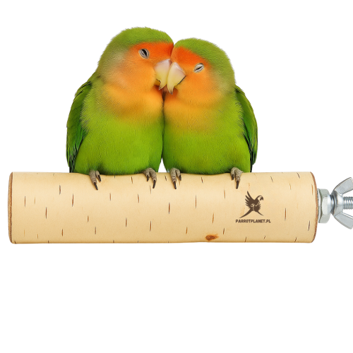 Parrot Planet - Żerdź brzozowa naturalna dla papug rozm. S