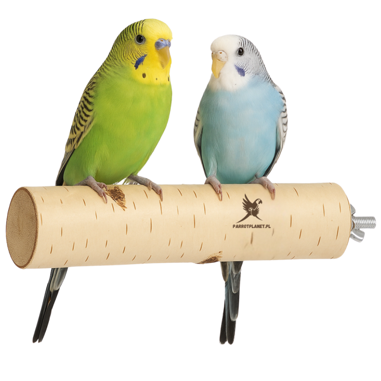 Parrot Planet - Żerdź brzozowa naturalna dla papug rozm. S