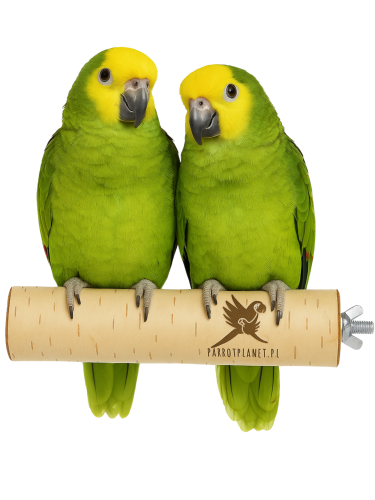 Parrot Planet - Żerdź brzozowa naturalna dla papug rozm. M/L - 30cm