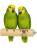 Parrot Planet - Żerdź brzozowa naturalna dla papug rozm. M/L - 30cm