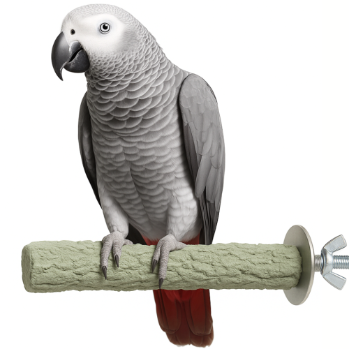 Żerdź dla papug typu amazonka, bądź żako do pielęgnacji pazurów L 25x5 cm od ParrotPlanet.pl